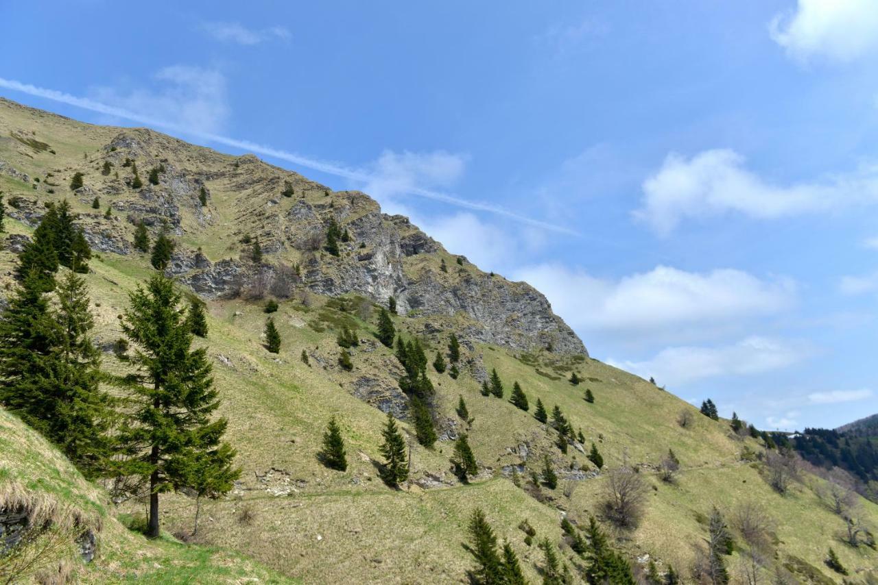 Holiday Home Davca Cerkno Bagian luar foto