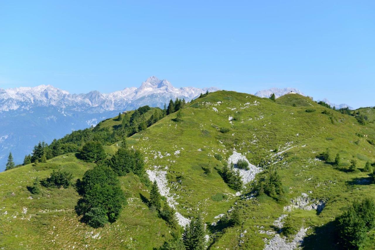 Holiday Home Davca Cerkno Bagian luar foto