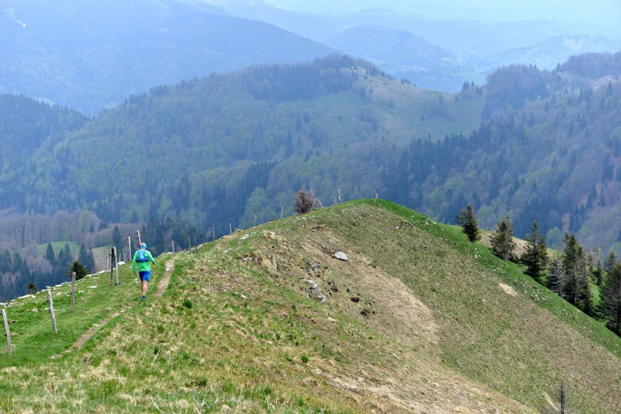 Holiday Home Davca Cerkno Bagian luar foto