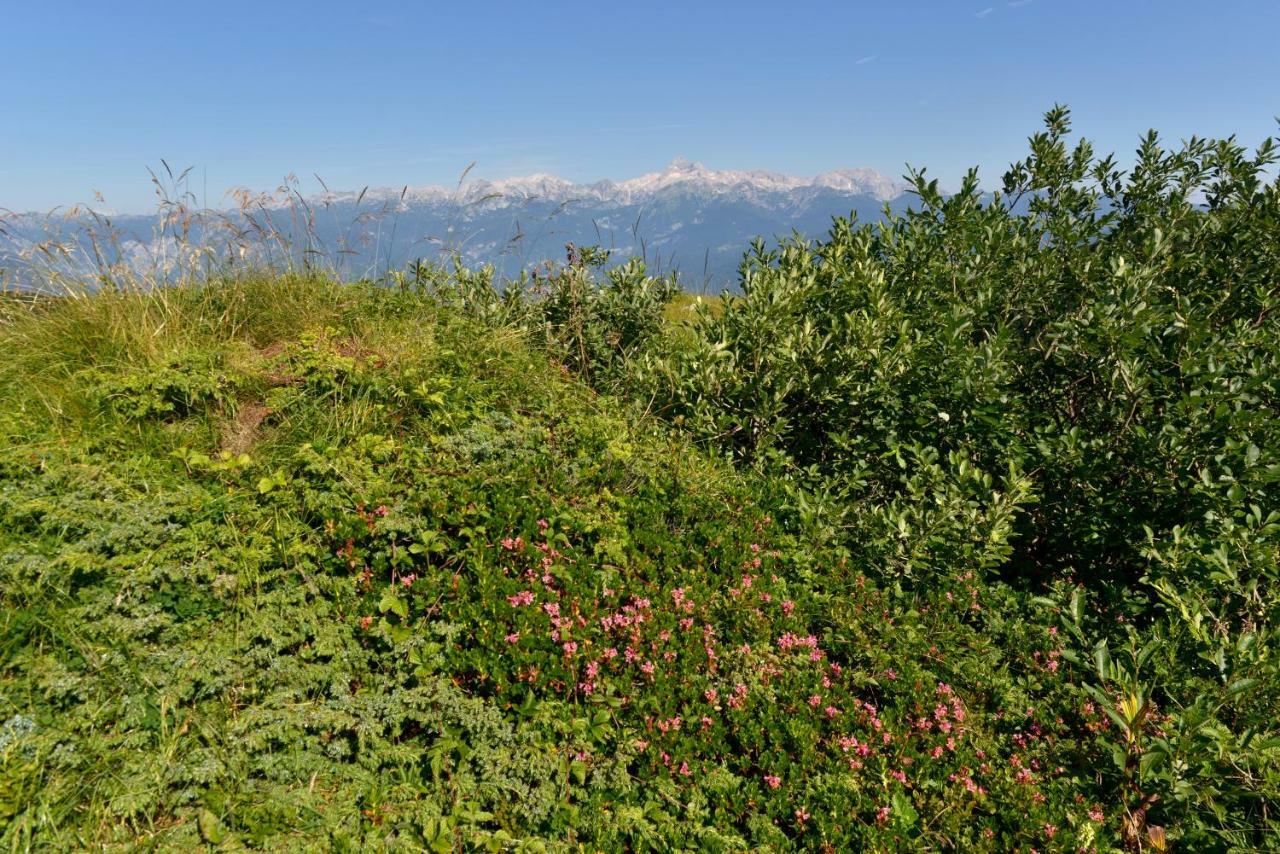 Holiday Home Davca Cerkno Bagian luar foto