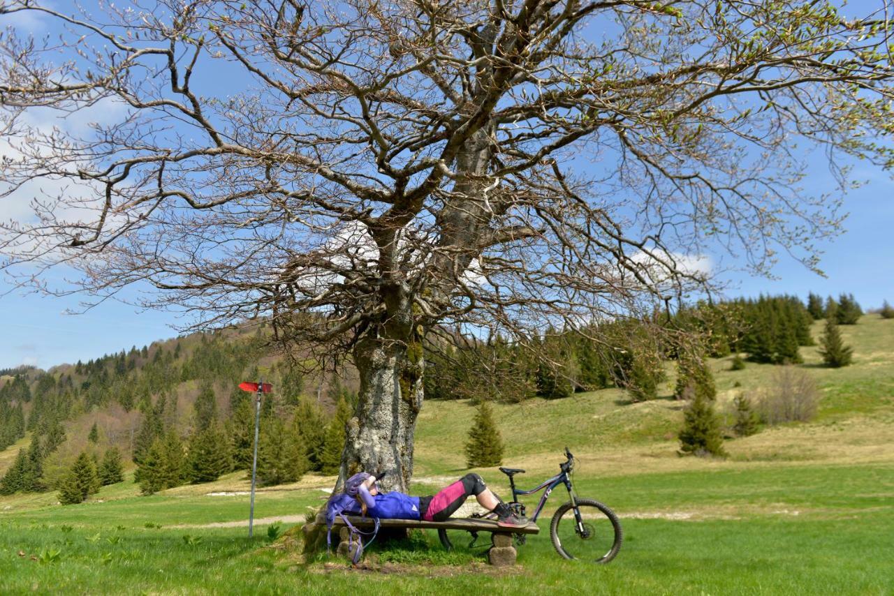 Holiday Home Davca Cerkno Bagian luar foto