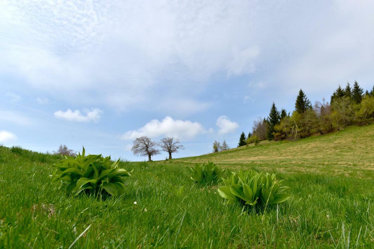 Holiday Home Davca Cerkno Bagian luar foto